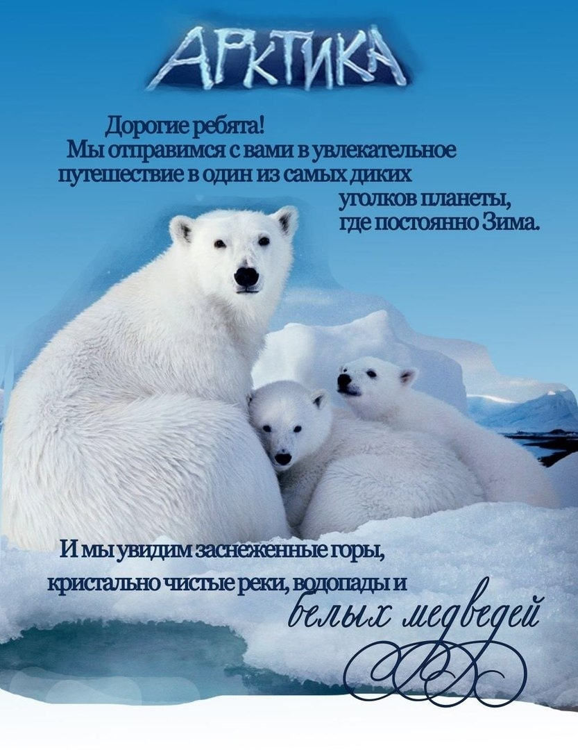 Арктика 1