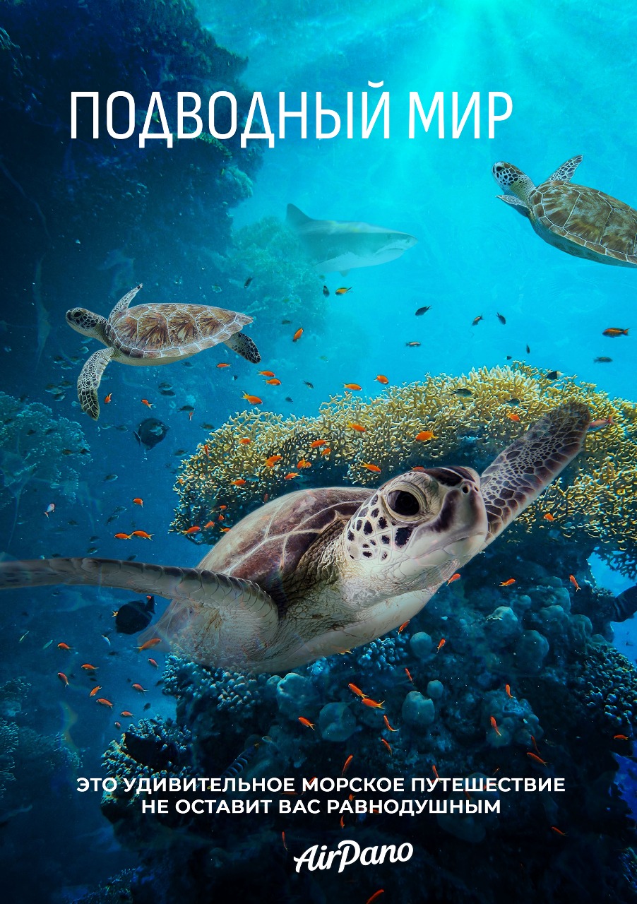 Подводный мир