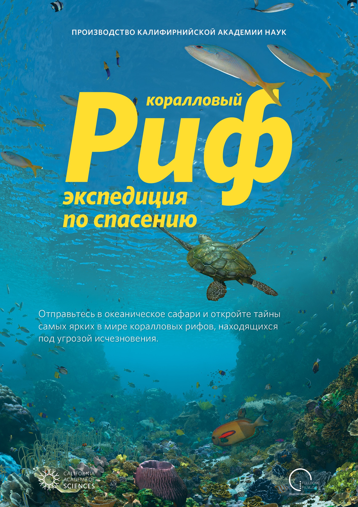 Риф экспедиция по спасению